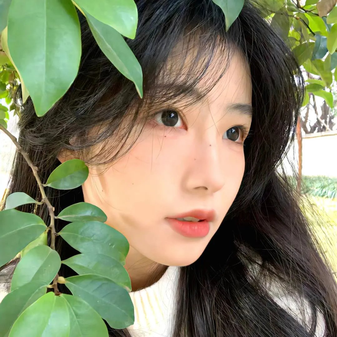 来自美国的莫里斯